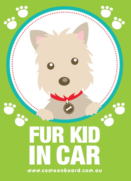 Fur Kid in Car